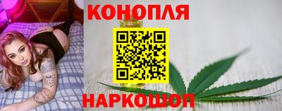 скорость Новозыбков