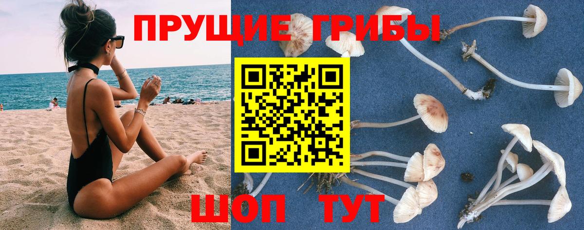 Галлюциногенные грибы Psilocybine cubensis Рузаевка