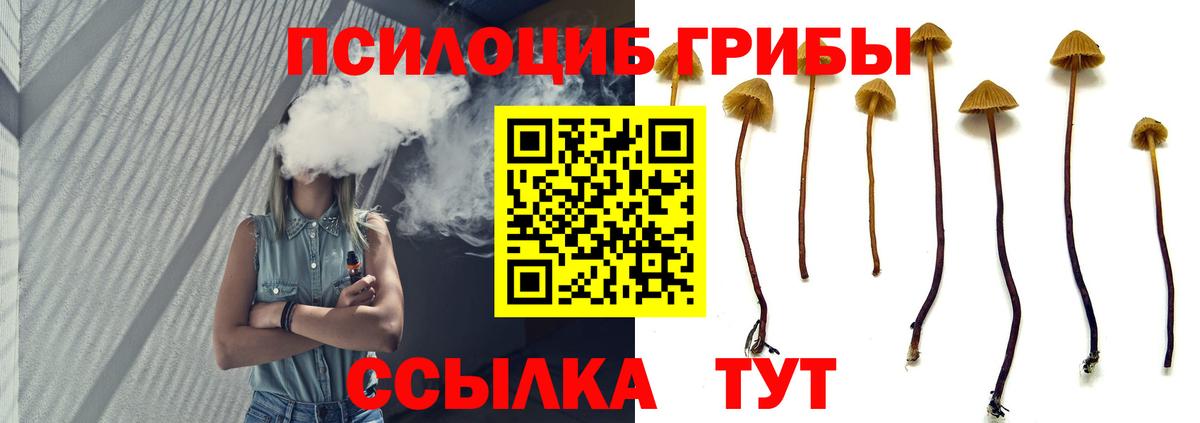 Псилоцибиновые грибы Psilocybe  Вход с VPN  Рузаевка  Галлюциногенные грибы MAGIC MUSHROOMS 